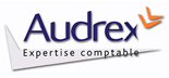 AUDREX Audit